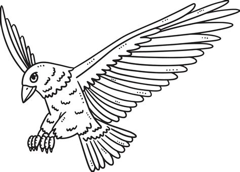 Flying Eagle Isolated Coloring Page 22463823 Vector Art At Vecteezy