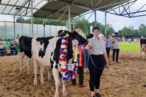 Xxii Wojew Dzka Wystawa Zwierz T Hodowlanych W Bartoszewicach Sm Ryki