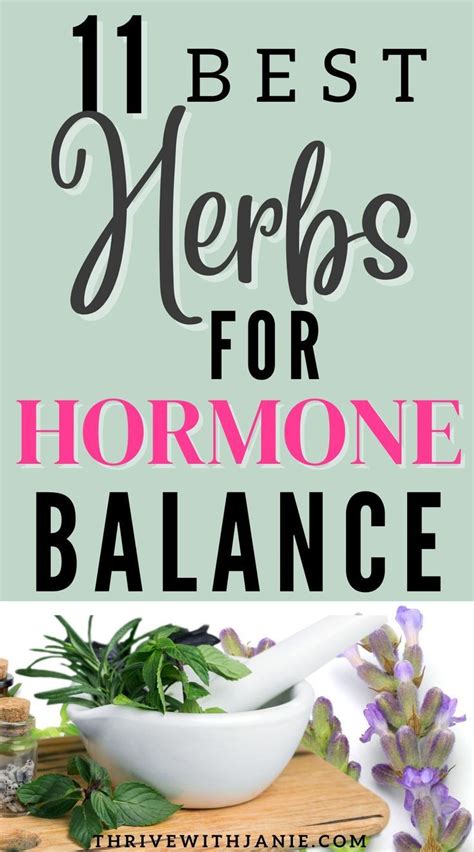 11 Herbs For Hormone Balance