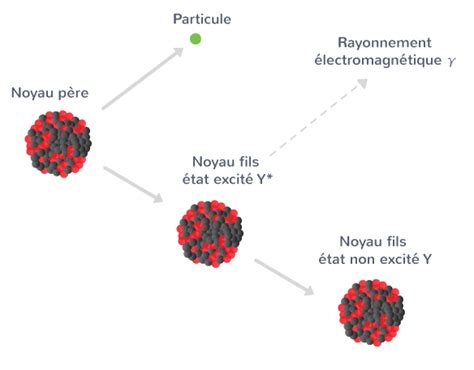 La modélisation temporelle dun système nucléaire Tle Cours