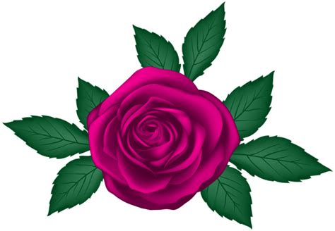 Rose Transparent PNG Clip Art Image | Gallery Yopriceville - High ...