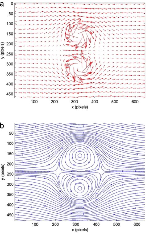 Extracted Velocity Field From Two Grid Images Using The Present Method