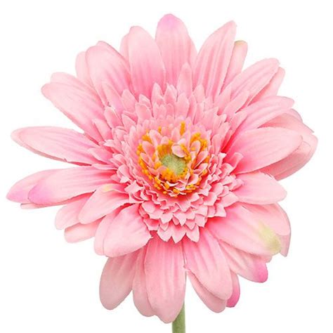 Floristik24 fr Gerbera rose artificiel Ø10cm L53cm 6pcs 85777