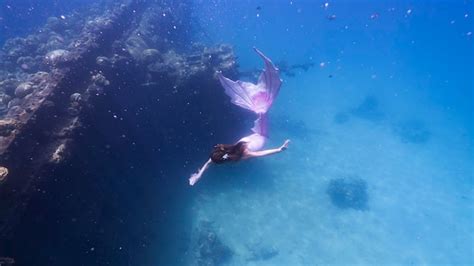 Premium Photo | Mermaid swimming in sea