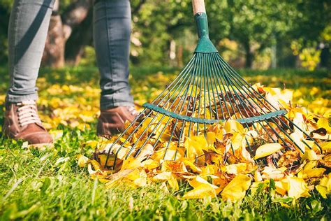 7 of the Best Leaf Rakes for 2024 | Gardener's Path Review