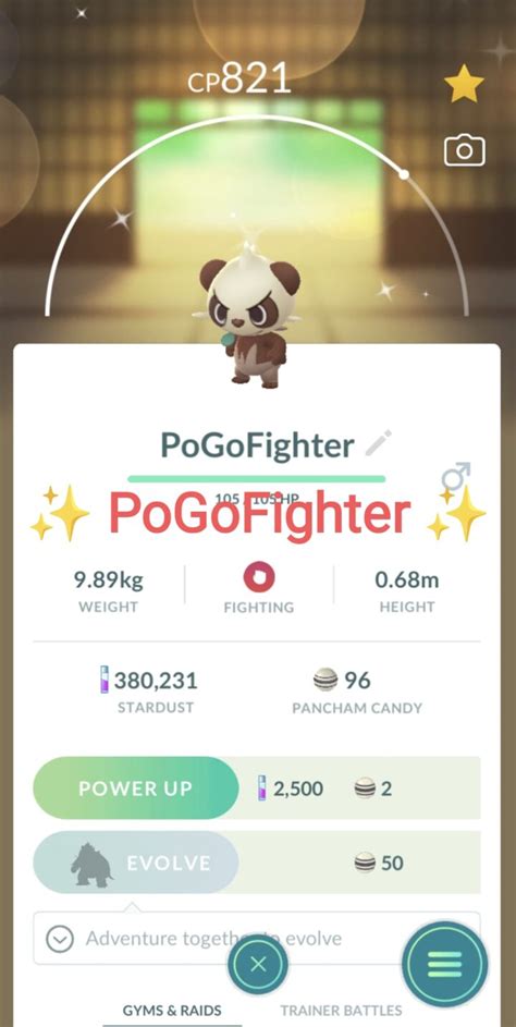 Pokémon GO Shiny Pancham – Mini Account (Read Describe) - PoGoFighter