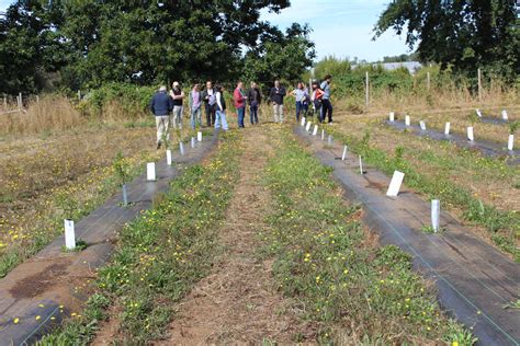 Académicos FCAA participaron en Día de Campo en CIC Los Ríos Facultad