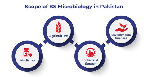 Enrol for a Top-Notch BS Microbiology Degree at Lahore-UBAS - UBAS 