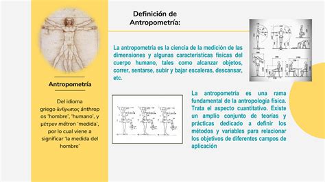 SOLUTION Antropometr A Itzel Cruz Studypool