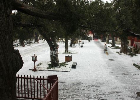 Beijing Confucian Temple - Beijing Confucian Temple Photos