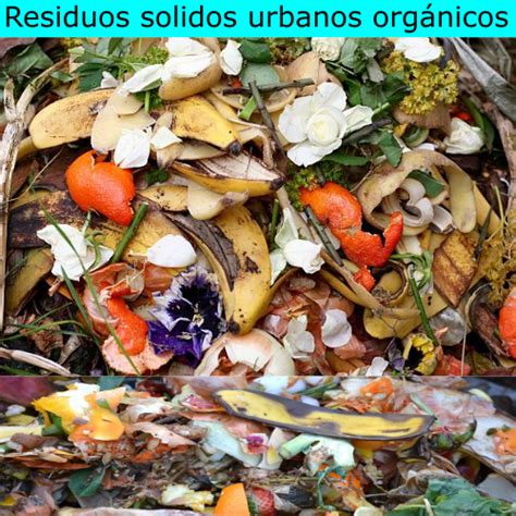 Residuos Solidos Urbanos Organicos 2024 Ejemplos Tipos