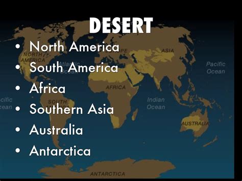 Desert Biome by Avery Mallory