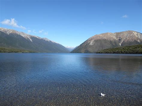 Lake Rotoiti Short Walks Nelson Lakes National Park Nelson Trails