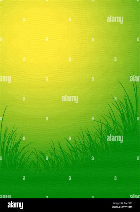 Green Vector Grass Background Stock Vector Image And Art Alamy