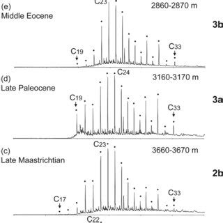 Mass Chromatograms M Z Showing The Distribution Of N Alkanes In