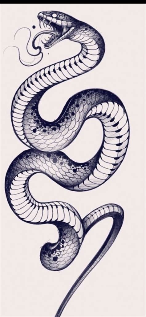 Snake tattoo | Cobra tattoo, King cobra tattoo, Snake tattoo design