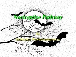 PPT - Figure 1 The nociceptive pain pathway PowerPoint Presentation ...