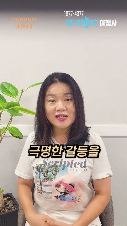 김 만 사 조례안 발의~ 동물의 권리 어디까지 채널041 김주영 쇼츠 동물권 길고양이 천안 Youtube