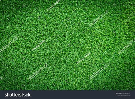 Grass Field Texture for Sports Background