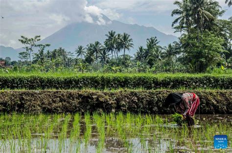 Mount Merapi Volcano Erupts In Indonesia Xinhua