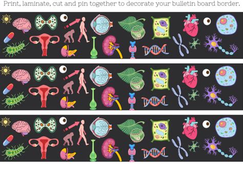 Classroom bulletin border - Biology themed | Teaching Resources