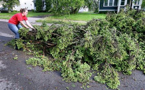 Tree Debris Removal Near Me - 2025 Cost Guide ( + Save Up To 43%)