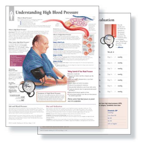 Understanding Hypertension Study Set Replacement Pads Scientific