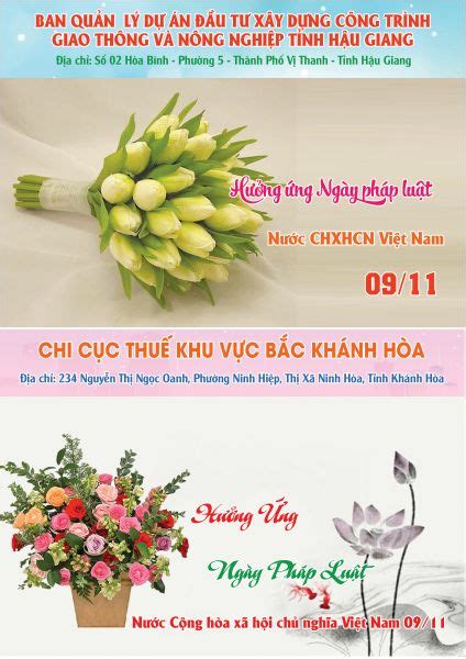 Ban QLDA DTXD công trình giao thông và nông nghiệp Hậu Giang Chi cục