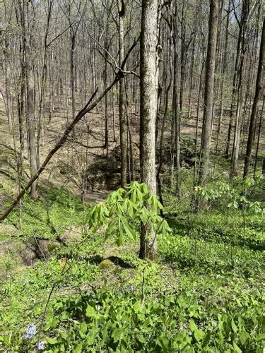 Best Long Trails In Monte Sano State Park Alltrails