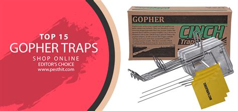 Best Gopher Trap | Top 15 Gopher Traps