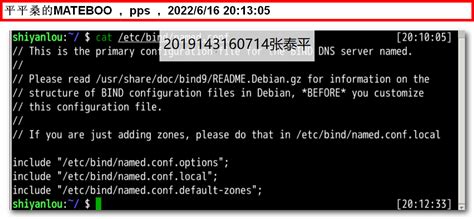 Linux 系统搭建及配置 Dns 服务器 蓝桥云课