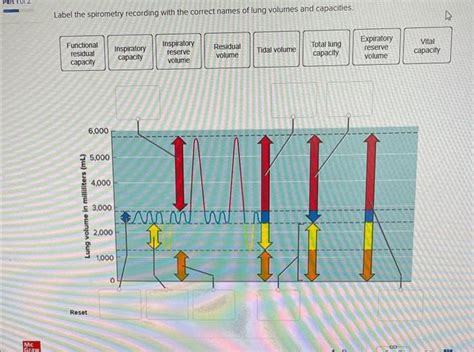 Solved Label The Spirometry Recording With The Correct Names Chegg