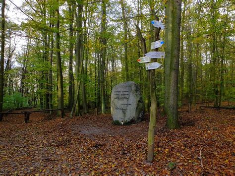 Wielkopolski Park Narodowy Wycieczka Ze St Szewa Do Mosiny Flickr