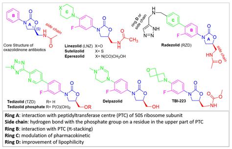 Core structure of oxazolidinone antibiotics and molecular structures of ...