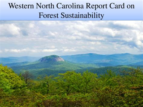 (PDF) Western North Carolina report card on forest sustainability