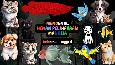 Belajar Mengenal Nama Hewan Peliharaan Quiz Hitung Binatang Pada