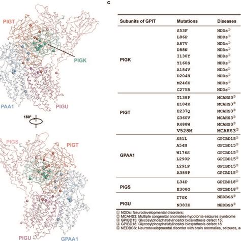 Cryo Em Analysis Of The Gpitx Complex A Flow Chart Of Cryo Em Data