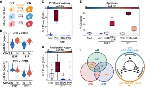 Figure 1 from Systematic analysis of the MAPK signaling network reveals ... 