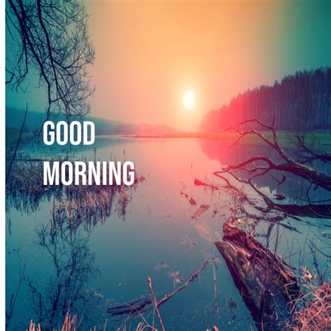 Good morning Instagram post Template | PosterMyWall