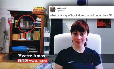 Twitter Was Quick To Spot A Sex Toy On The Shelf Of This Guest In This Viral Bbc Interview Culture