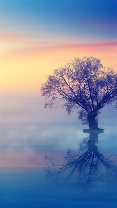 Lone Tree Wallpaper 4k Scenery Sunset Reflection Fog