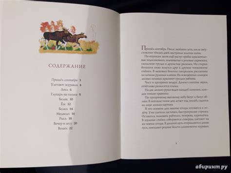 Книга: Осень в лесу - Иван Соколов-Микитов. Купить книгу, читать ...