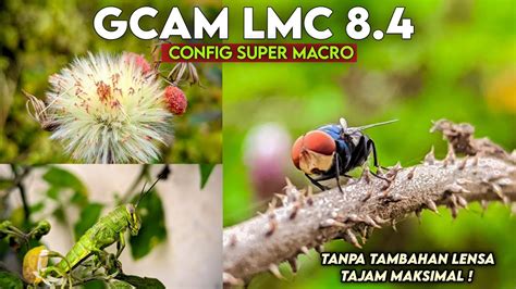 Hasil Foto Sangat Tajam Dan Bening Gcam Lmc Config Super Macro