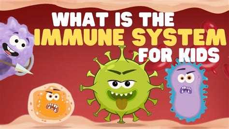 What Is The Immune System For Kids Learn All About How The Body