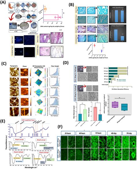 Schematic Illustration Of Parameters Of Decellularized Tissue