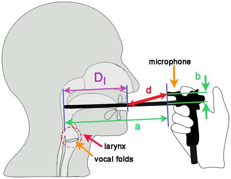 Jcm Free Full Text Determining The Mouth To Microphone Distance In Rigid Laryngoscopy A