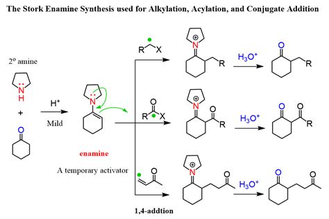 Stork Enamine Synthesis - Chemistry Steps