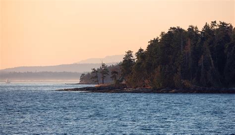 Premium Photo Canadian Nature Landscape On The West Coast Of Pacific
