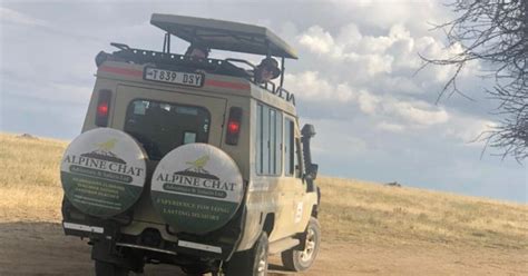 Ngorongoro Und Serengeti Tage Geschmack Von Tansania Safari