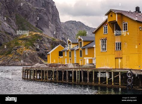 Traditional Yellow Wooden Houses Rorbuer In The Small Fishing Village